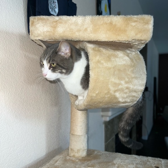 Meet your Posher, Neftali - Picture 6 of 6